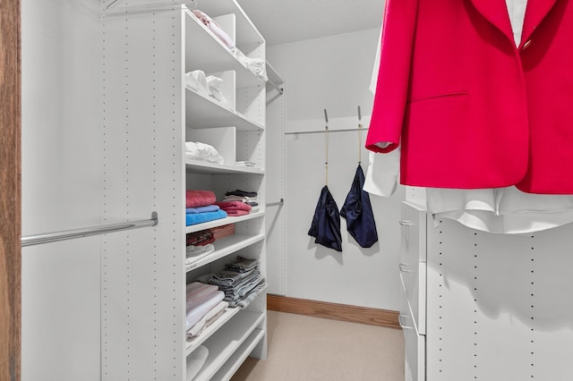 spacious closet featuring carpet