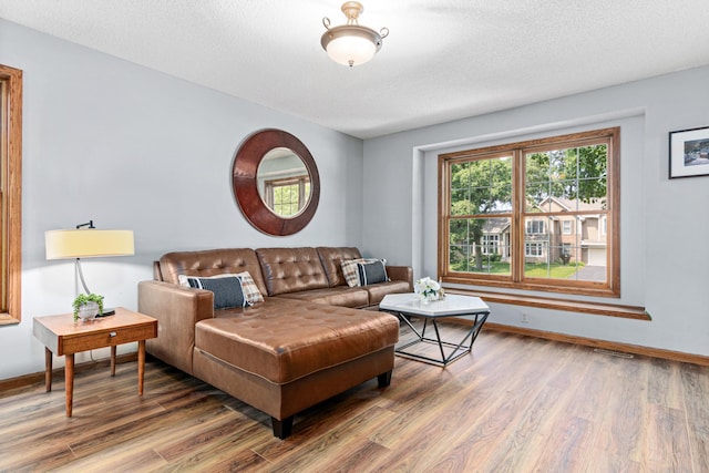 12534 Dover Dr, Apple Valley, MN 55124 - living room featuring wood finished floors and a textured ceiling