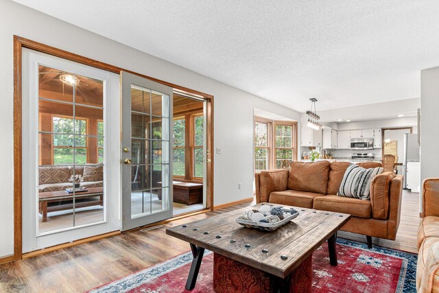 12534 Dover Dr, Apple Valley, MN 55124 - living room featuring wood finished floors and a textured ceiling