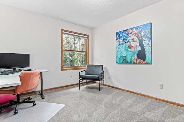 12534 Dover Dr, Apple Valley, MN 55124 - home office featuring carpet and a textured ceiling