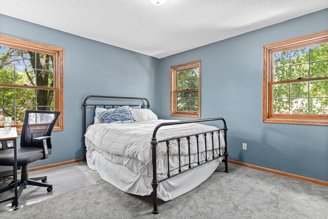 12534 Dover Dr, Apple Valley, MN 55124 - bedroom with carpet floors and a textured ceiling