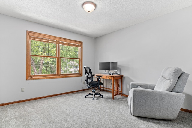 12534 Dover Dr, Apple Valley, MN 55124 - office area featuring carpet flooring and a textured ceiling
