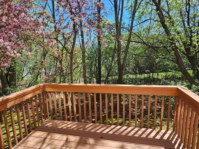 16873 79th Ave N, Maple Grove, MN 55311 - view of wooden deck