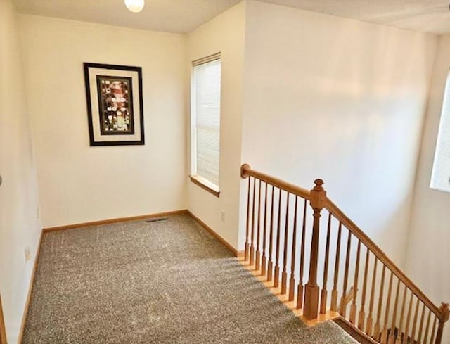 16873 79th Ave N, Maple Grove, MN 55311 - hall featuring an upstairs landing, carpet floors, and baseboards