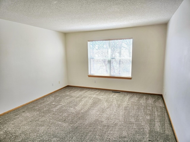 16873 79th Ave N, Maple Grove, MN 55311 - spare room with carpet flooring, baseboards, and a textured ceiling