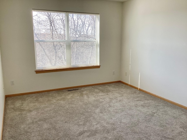 16873 79th Ave N, Maple Grove, MN 55311 - carpeted empty room with baseboards