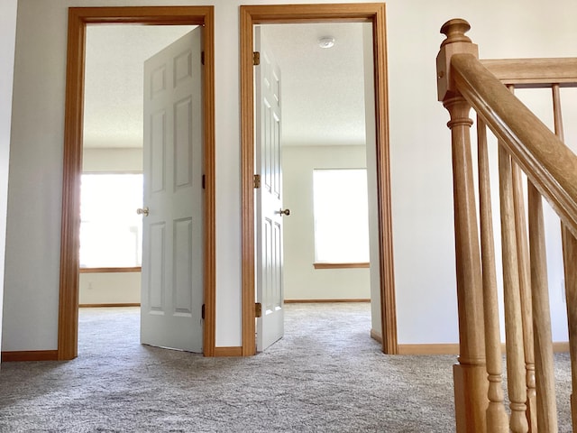 16873 79th Ave N, Maple Grove, MN 55311 - hallway featuring carpet flooring, healthy amount of natural light, and baseboards