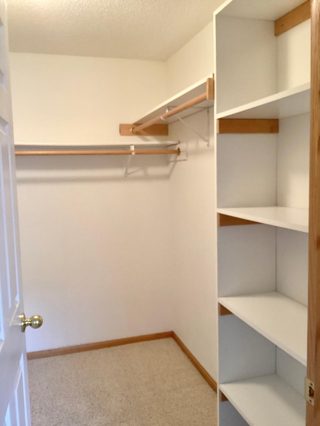 16873 79th Ave N, Maple Grove, MN 55311 - spacious closet with carpet floors