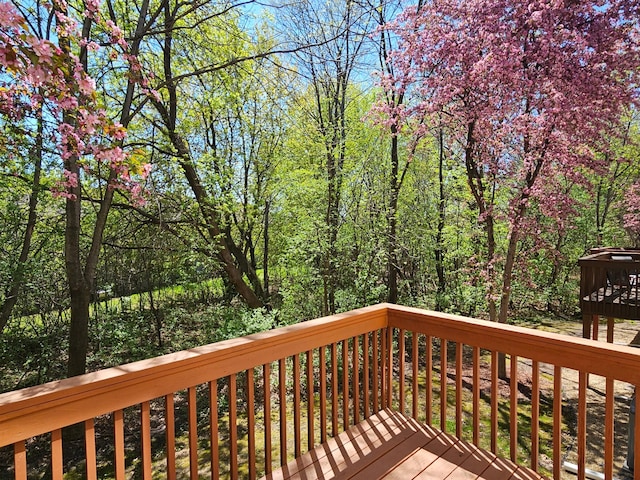 16873 79th Ave N, Maple Grove, MN 55311 - view of wooden deck