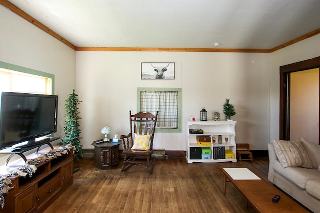 living room featuring crown molding and dark wood-style flooring