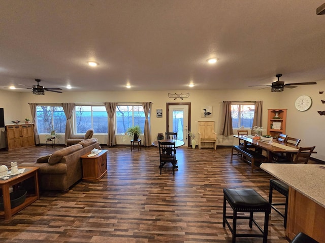 36861 477th Ave, Otto Twp, MN 56567 - living room with a ceiling fan, dark wood-type flooring, plenty of natural light, and recessed lighting