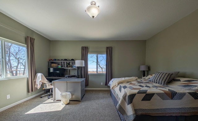 36861 477th Ave, Otto Twp, MN 56567 - bedroom featuring light colored carpet, an office area, and baseboards