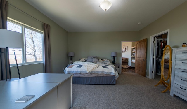 36861 477th Ave, Otto Twp, MN 56567 - bedroom with carpet flooring, a walk in closet, and a closet
