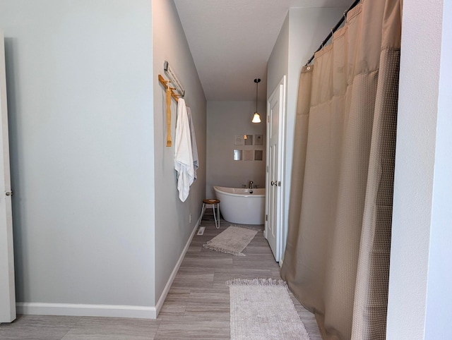 36861 477th Ave, Otto Twp, MN 56567 - bathroom with wood finished floors, baseboards, and a freestanding bath