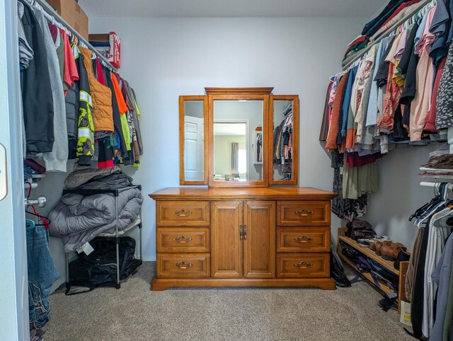 36861 477th Ave, Otto Twp, MN 56567 - walk in closet featuring carpet flooring