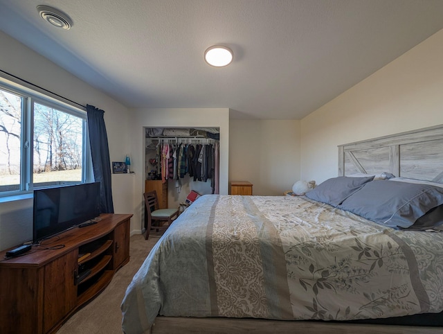 36861 477th Ave, Otto Twp, MN 56567 - bedroom with a closet and carpet floors