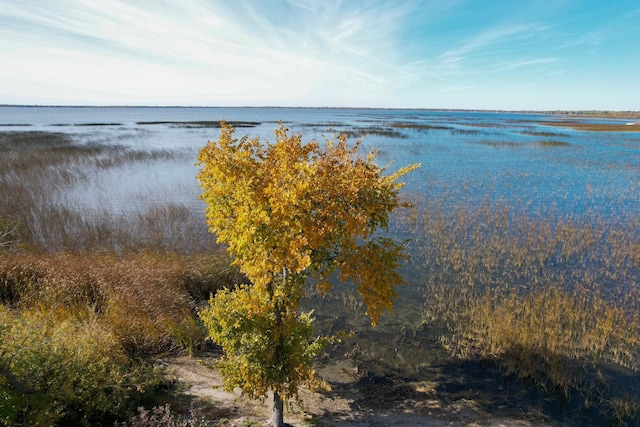 36861 477th Ave, Otto Twp, MN 56567 - water view