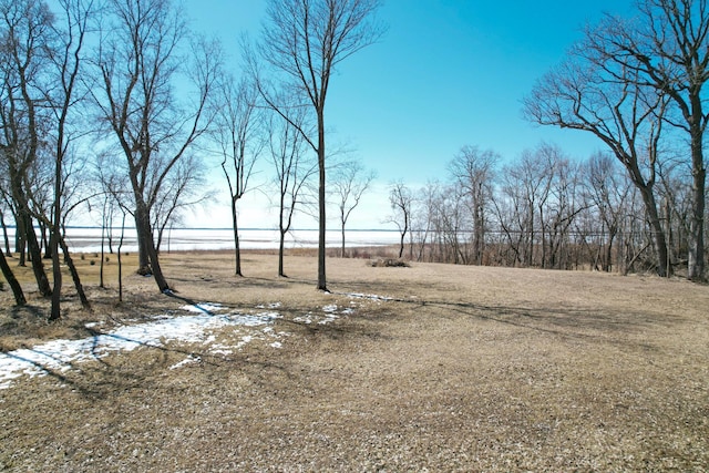 36861 477th Ave, Otto Twp, MN 56567 - view of yard