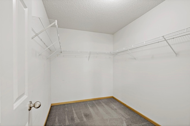 3001 Chamberlain St N Unit 5, Maplewood, MN 55109 - photo 33