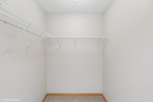 128 Oakmont Ln, Red Wing, MN 55066 - walk in closet featuring carpet floors