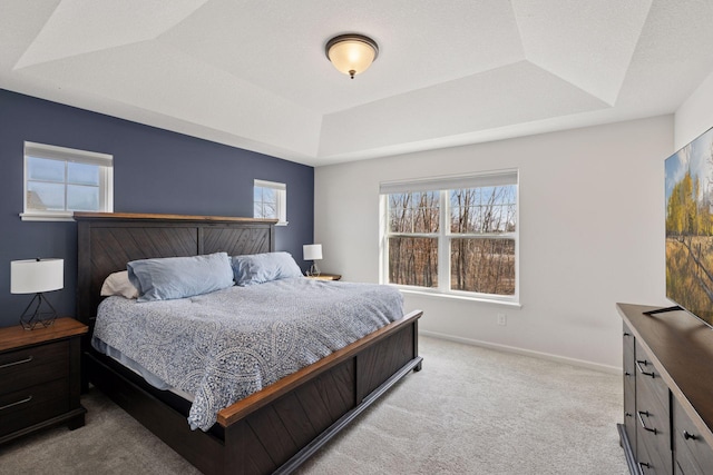 6921 Huckleberry Dr, Minnetrista, MN 55331 - bedroom with a tray ceiling and light colored carpet
