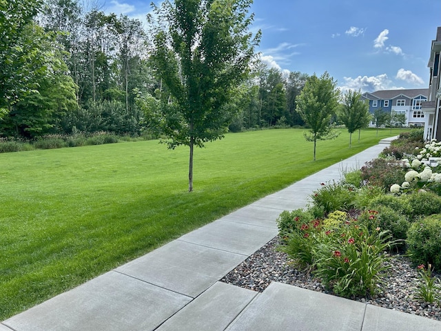 6921 Huckleberry Dr, Minnetrista, MN 55331 - view of home's community featuring a lawn