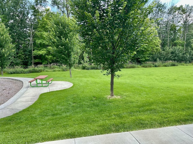 6921 Huckleberry Dr, Minnetrista, MN 55331 - view of grassy yard