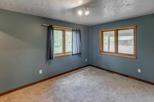 33507 Old 371, Pequot Lakes, MN 56472 - carpeted empty room featuring plenty of natural light and a textured ceiling