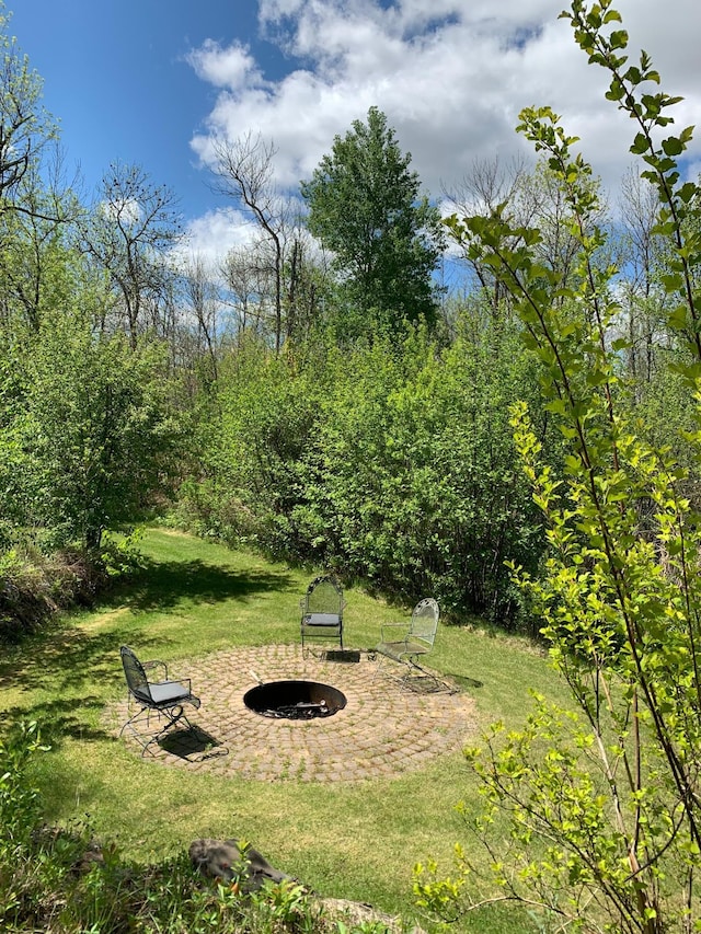 33507 Old 371, Pequot Lakes, MN 56472 - view of grassy yard with an outdoor fire pit