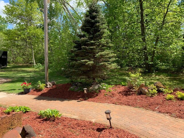 33507 Old 371, Pequot Lakes, MN 56472 - view of grassy yard