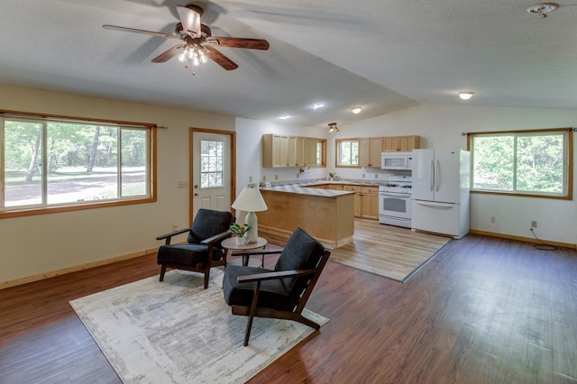 33507 Old 371, Pequot Lakes, MN 56472 - living area featuring a ceiling fan, vaulted ceiling, and light wood-style floors