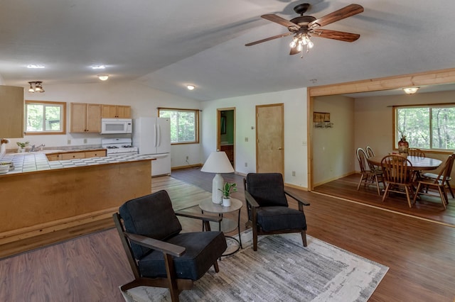 33507 Old 371, Pequot Lakes, MN 56472 - living room featuring vaulted ceiling, healthy amount of natural light, light wood-style floors, and a ceiling fan