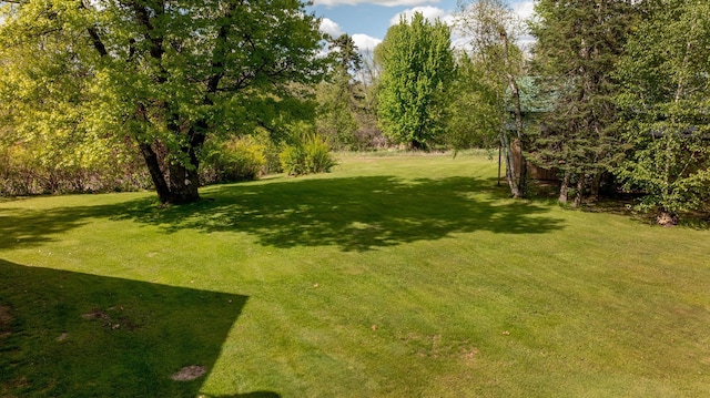 33507 Old 371, Pequot Lakes, MN 56472 - view of grassy yard