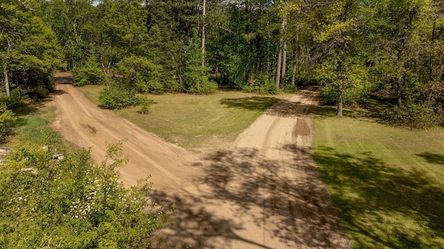 33507 Old 371, Pequot Lakes, MN 56472 - drone / aerial view of a forest