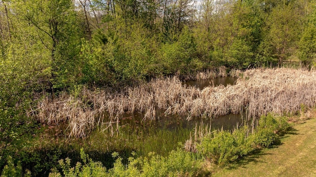 33507 Old 371, Pequot Lakes, MN 56472 - view of wooded area with a water view