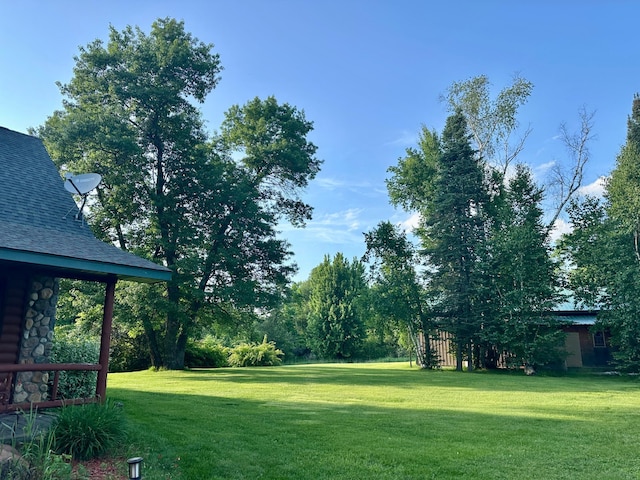 33507 Old 371, Pequot Lakes, MN 56472 - view of green lawn