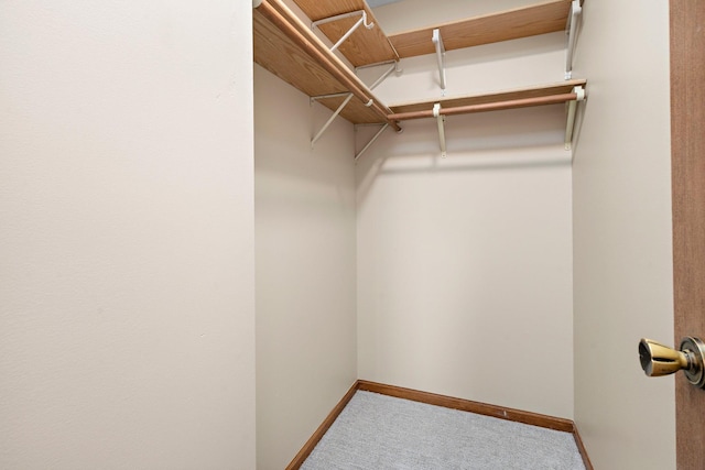 spacious closet with carpet floors