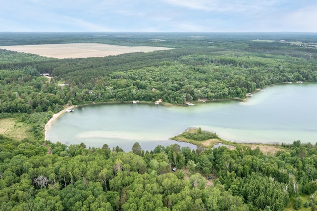 TBD Ham Lake Dr, Akeley, MN 56433 - photo 1
