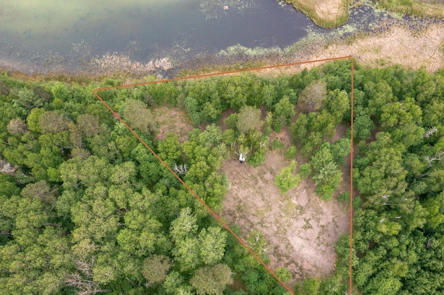 TBD Ham Lake Dr, Akeley, MN 56433 - photo 3