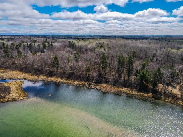 TBD Ham Lake Dr, Akeley, MN 56433 - photo 18