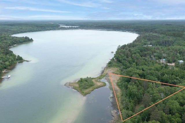 TBD Ham Lake Dr, Akeley, MN 56433 - photo 4