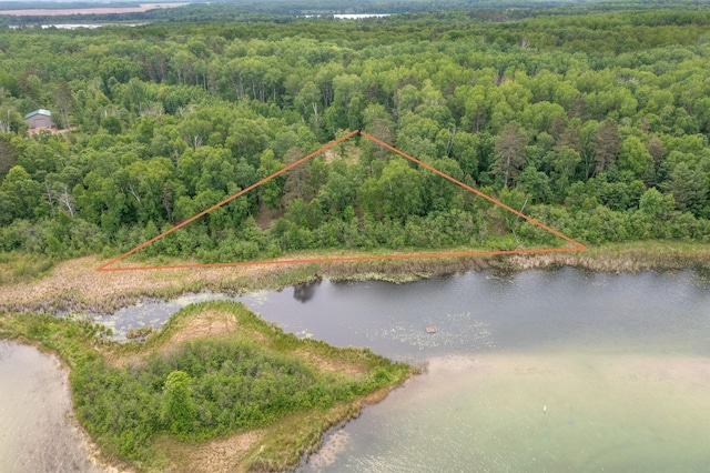 TBD Ham Lake Dr, Akeley, MN 56433 - photo 6