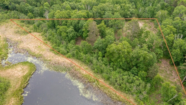 TBD Ham Lake Dr, Akeley, MN 56433 - photo 8