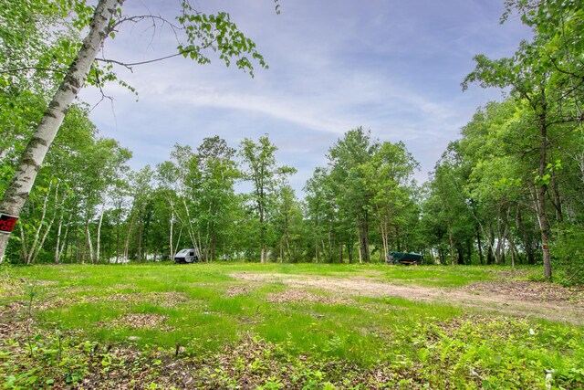 TBD Ham Lake Dr, Akeley, MN 56433 - photo 11