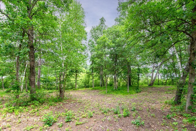 TBD Ham Lake Dr, Akeley, MN 56433 - photo 12