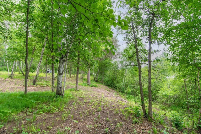 TBD Ham Lake Dr, Akeley, MN 56433 - photo 13