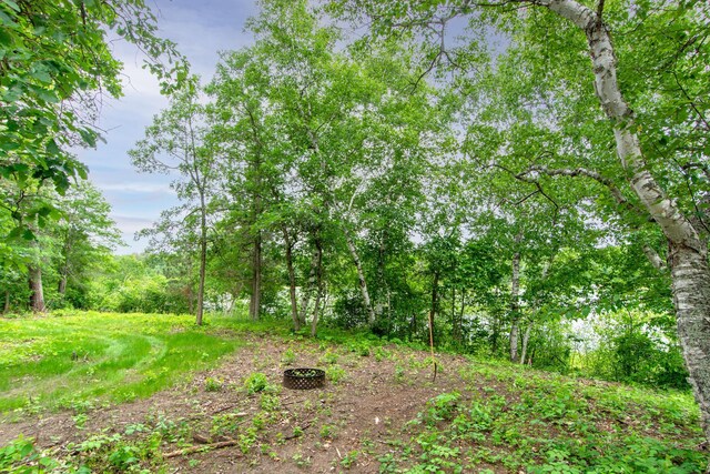TBD Ham Lake Dr, Akeley, MN 56433 - photo 14