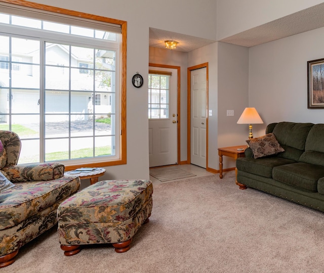 carpeted living area featuring baseboards