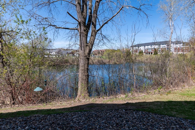 view of water feature