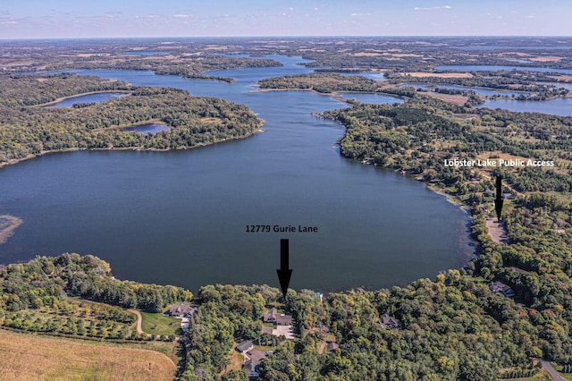 bird's eye view with a water view and a wooded view